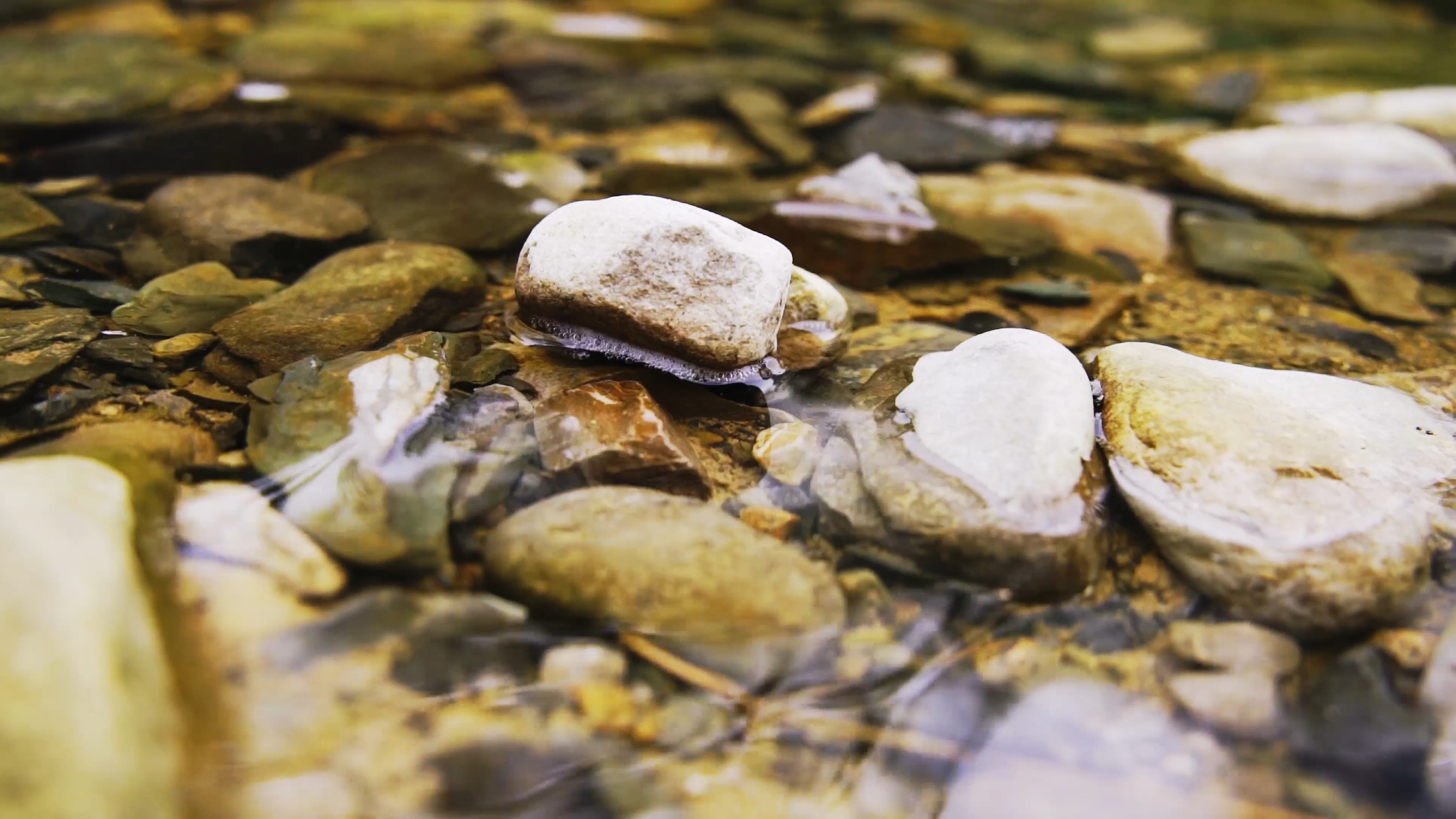4k实拍清澈的溪水石头夏季自然风光视频的预览图