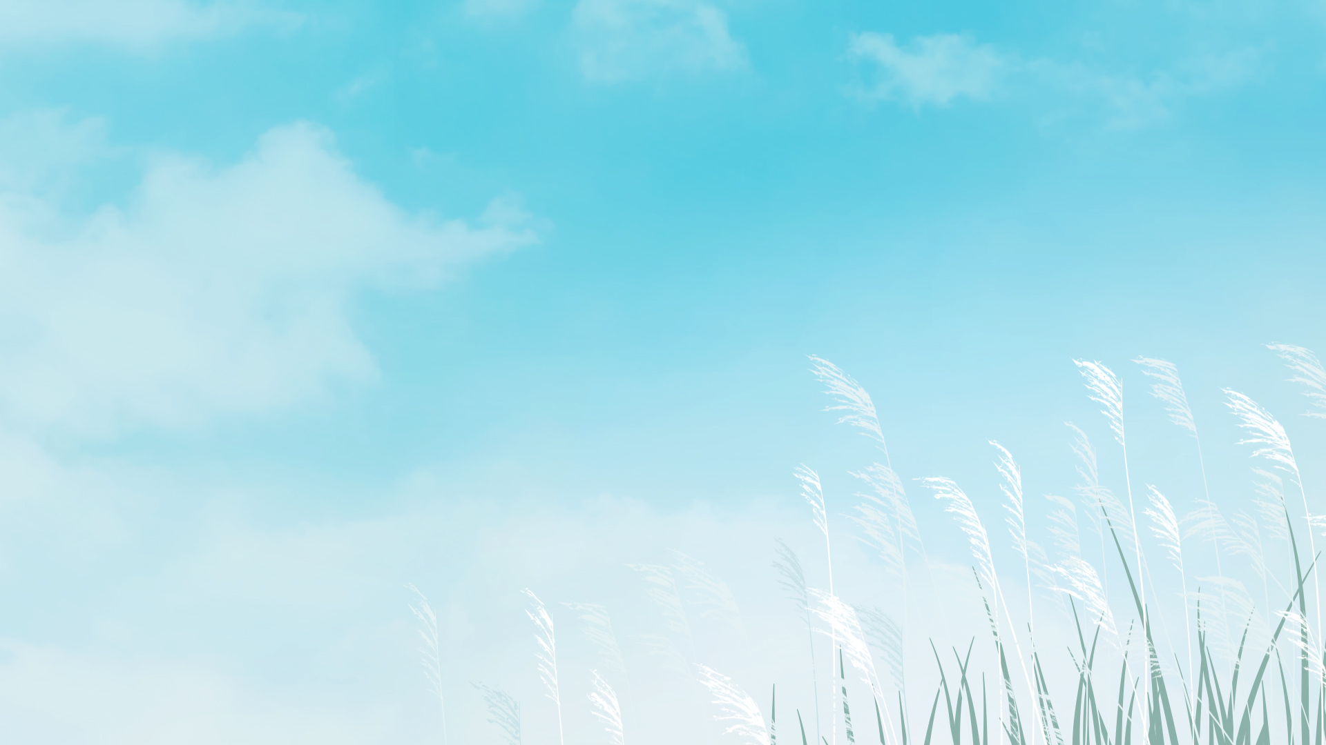 原创小清新蓝天白云芦苇蓝色简约夏天动态背景视频的预览图