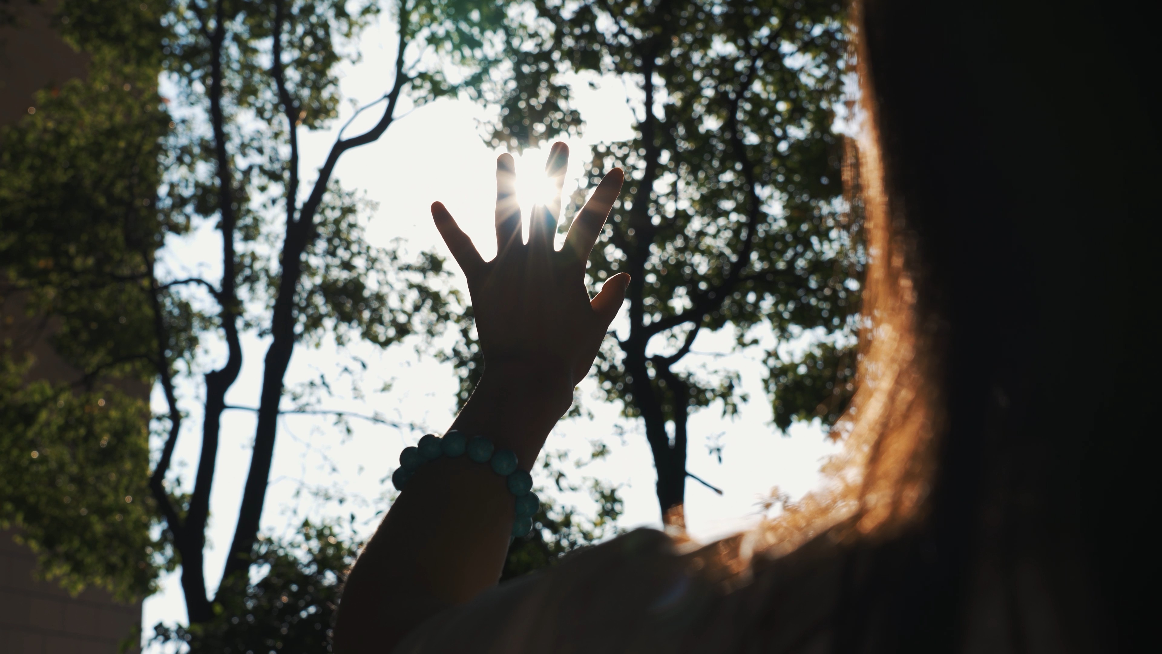 4k女生伸手抚摸太阳指缝透光唯美意境视频的预览图
