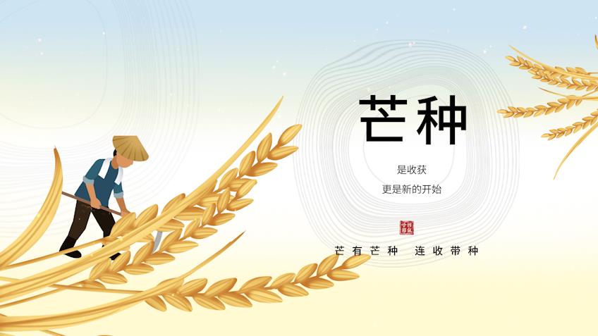 原创清新二十四节气芒种节气暖色中国风海报片头视频AE模板视频的预览图