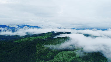 5.4K唯美航拍贵州喀斯特地貌森林云海视频的预览图