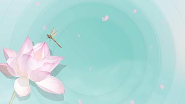 原创夏至节气荷花蜻蜓绿色清新动态视频背景视频的预览图