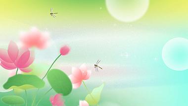 原创夏至节气荷花蜻蜓绿色弥散光渐变动态视频背景视频的预览图