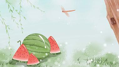 原创夏日西瓜柳叶蜻蜓草坪避暑动态视频背景视频的预览图