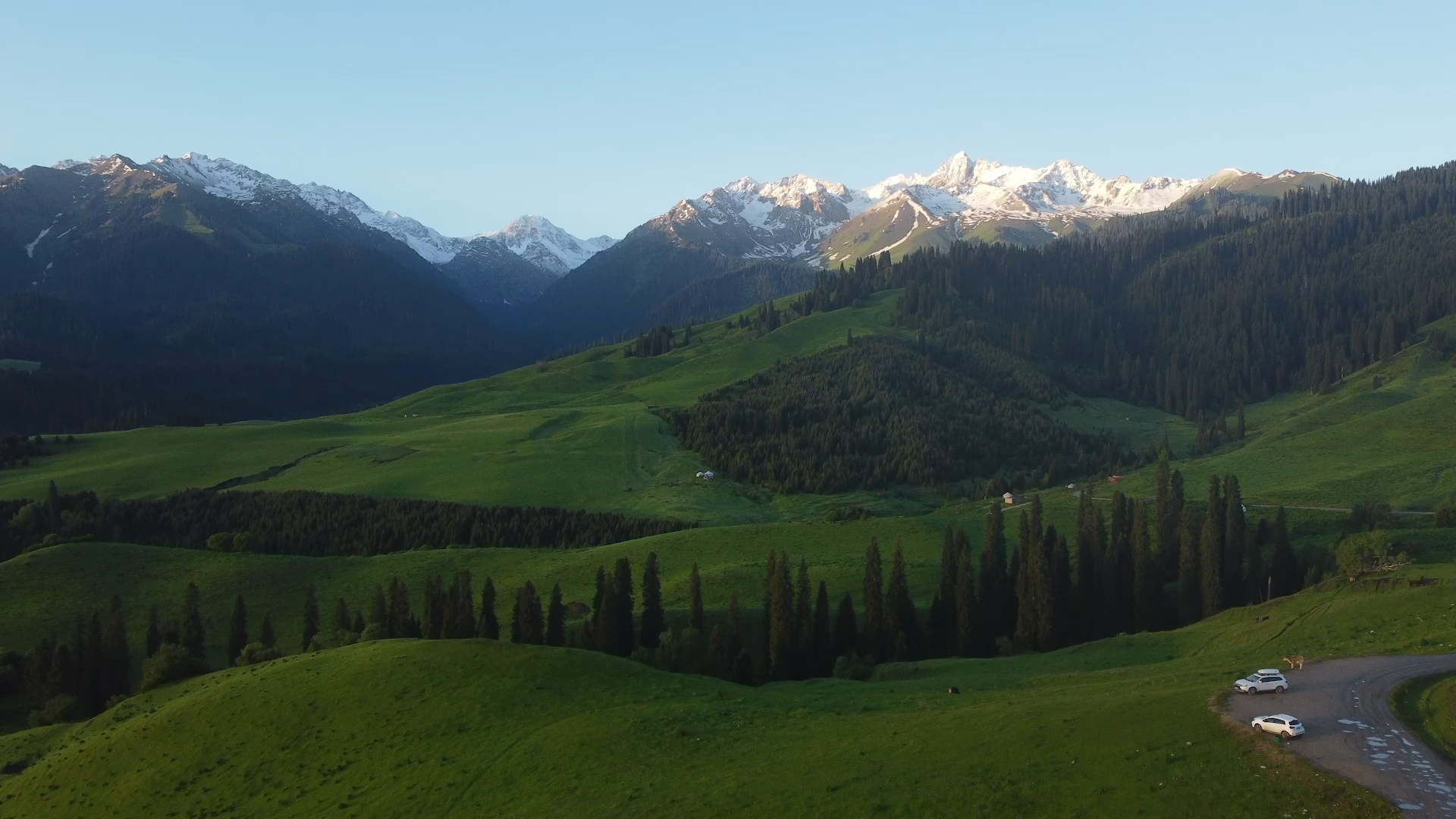 4K航拍新疆伊犁恰西大草原森林雪山草坡祖国风光视频的预览图