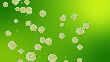 原创夏天柠檬汽水动态视频动态背景模板视频的预览图