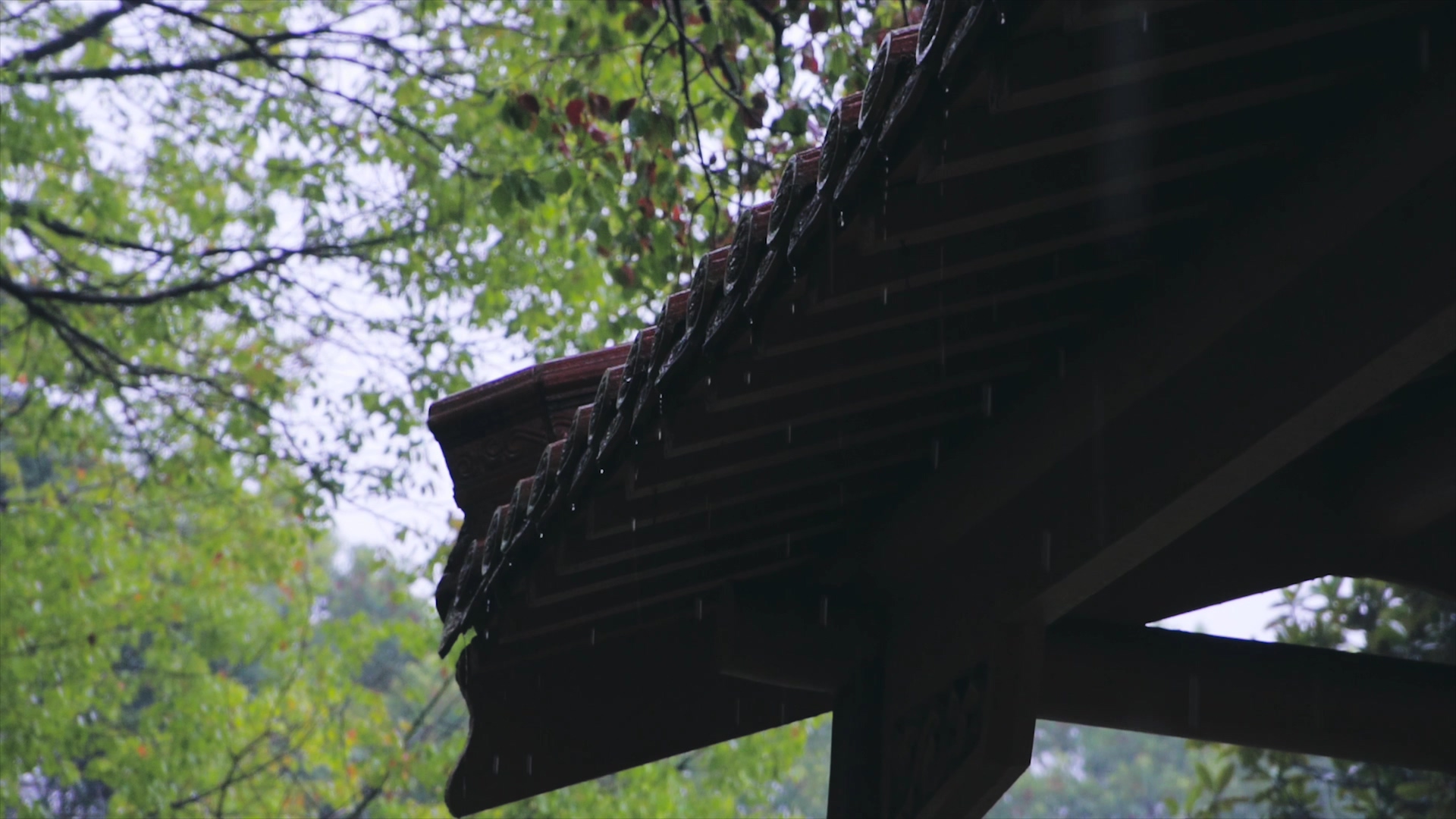 4K实拍梅雨季下雨空镜屋檐雨滴升格下落视频的预览图