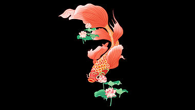 原创挂件元素夏天锦鲤鲤鱼金鱼荷花荷叶中国风视频的预览图