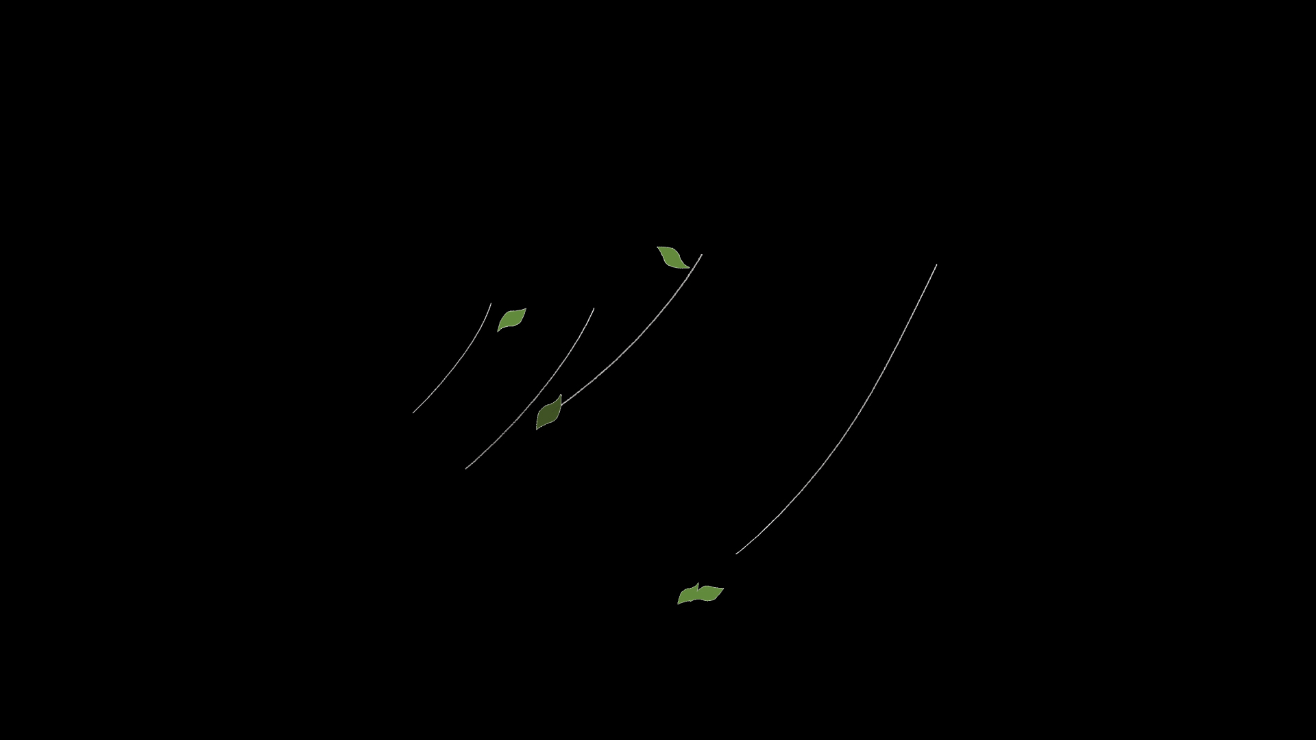 原创被风吹动的树叶落叶综艺挂件装饰叶子转场视频的预览图