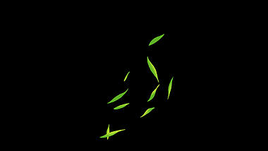 原创挂件装饰春天柳叶树叶飘落清新漂浮绿色视频的预览图