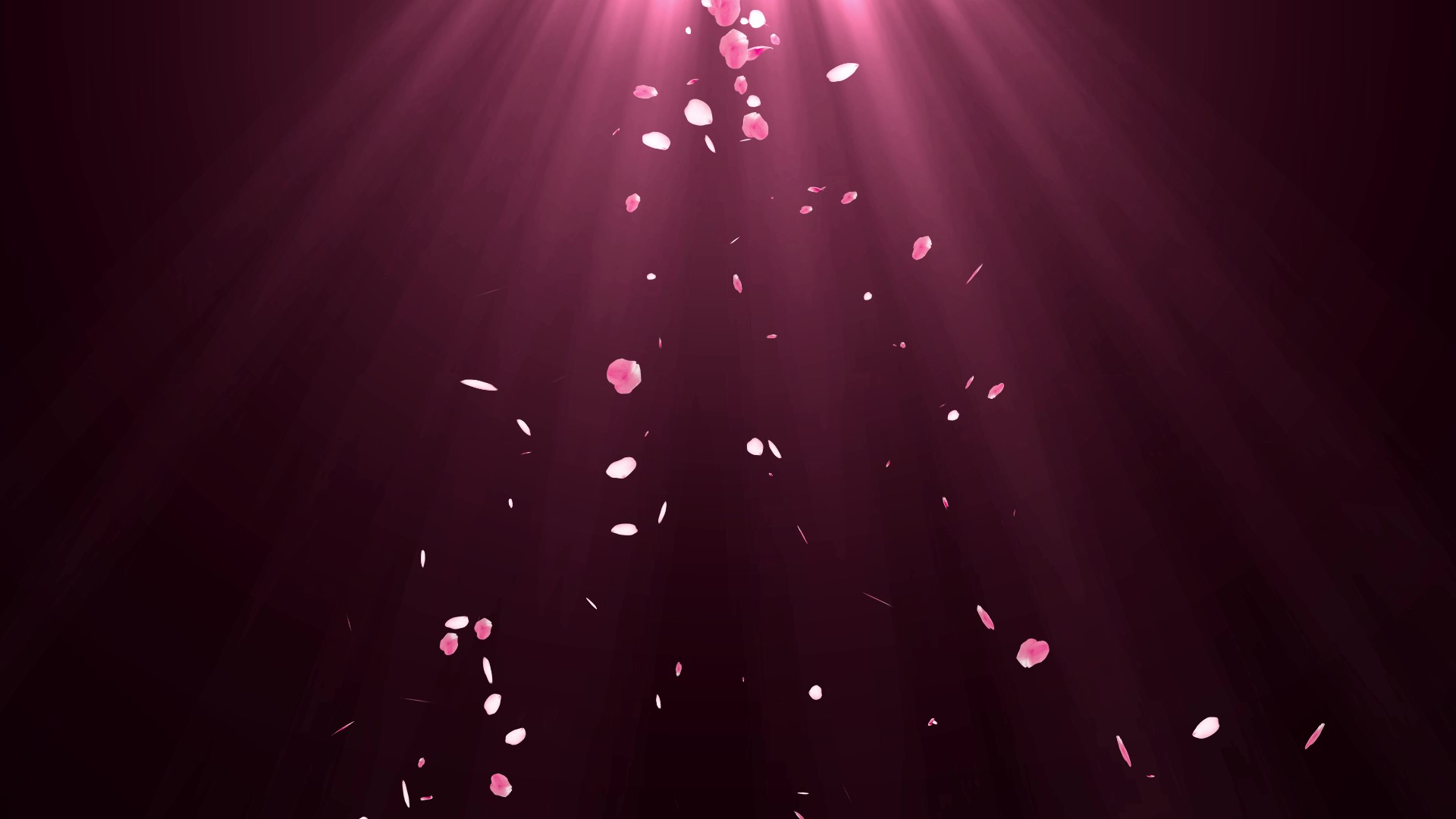 唯美花瓣飘落粒子七夕情人节花瓣视频动态背景视频的预览图