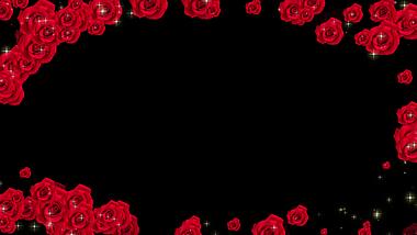 唯美浪漫玫瑰粒子七夕情人节视频动态边框视频的预览图