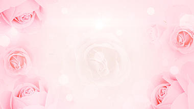 原创粉色玫瑰简介爱情七夕节背景视频动态背景视频的预览图