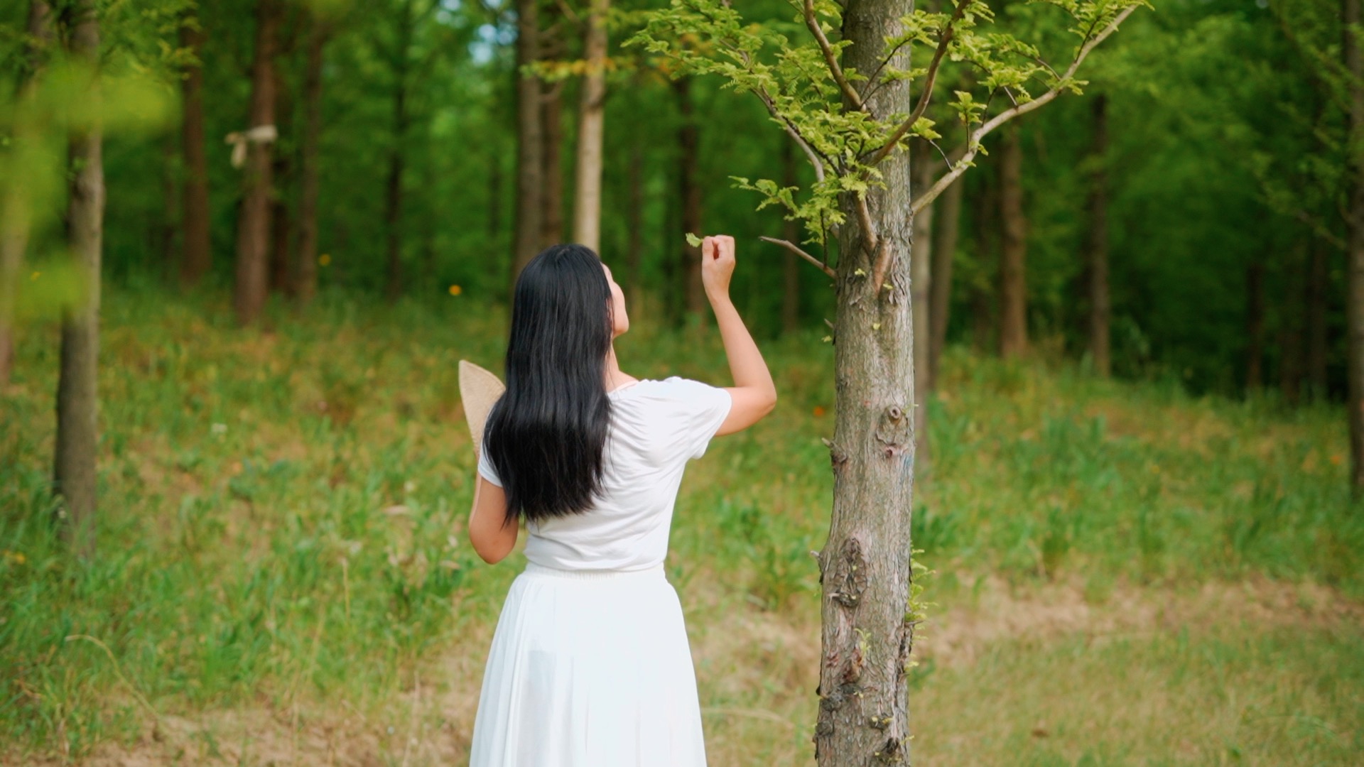 夏天女生在森林中纳凉散步亲近自然意境视频视频的预览图