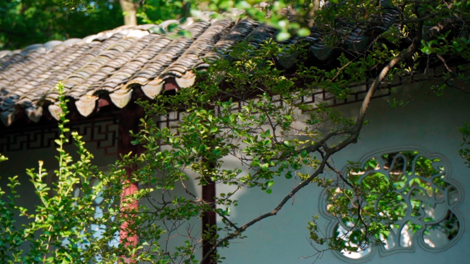 中式园林建筑苏州沧浪亭江南风光实拍视频1080视频的预览图
