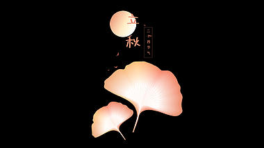 弥散立秋二十四节气银杏叶树叶视频的预览图