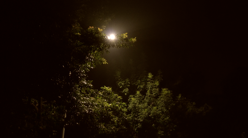 4K夜晚午夜路灯灯光透过树叶实拍空镜头视频的预览图