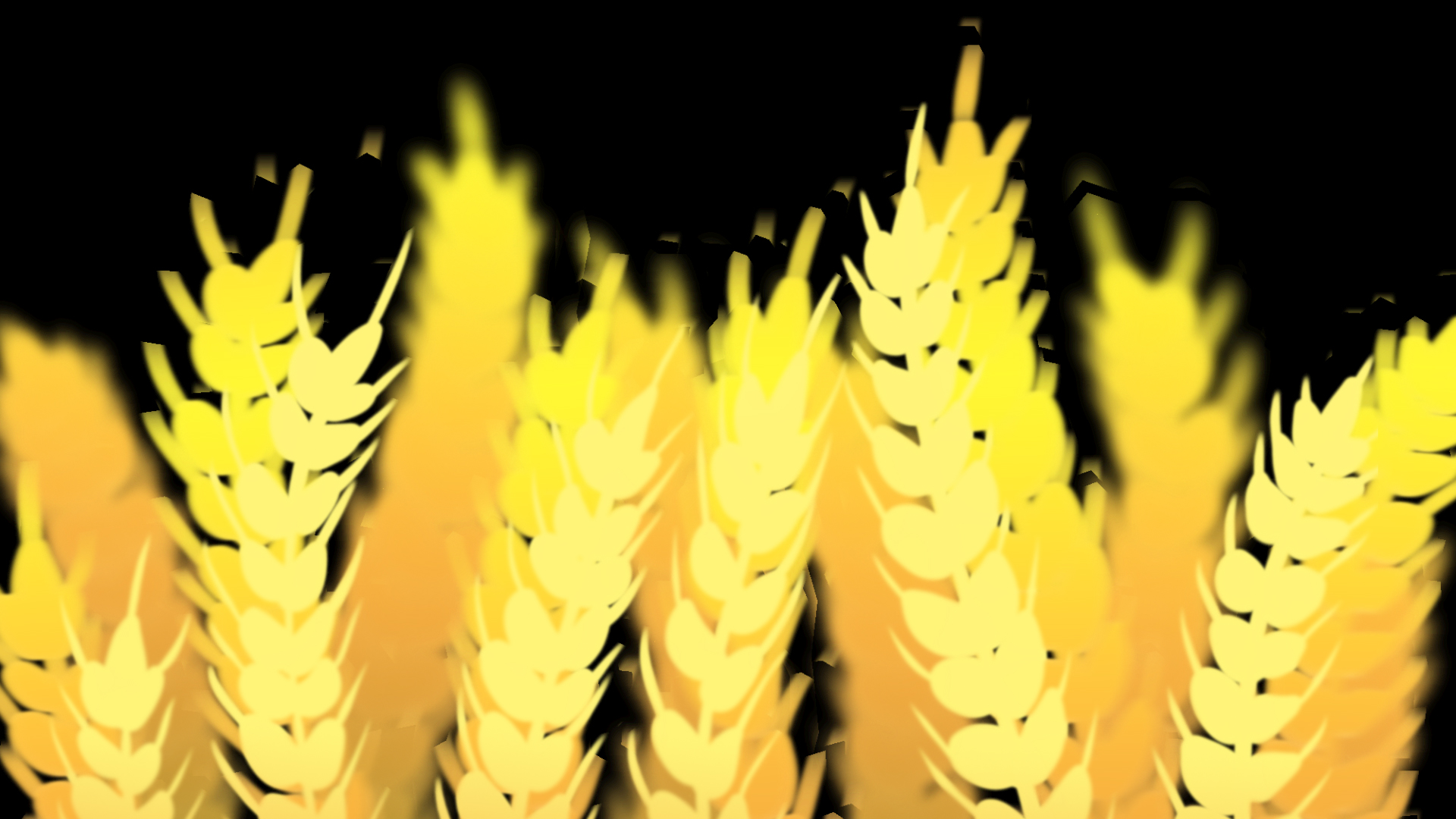 小麦麦子金色麦穗视频的预览图