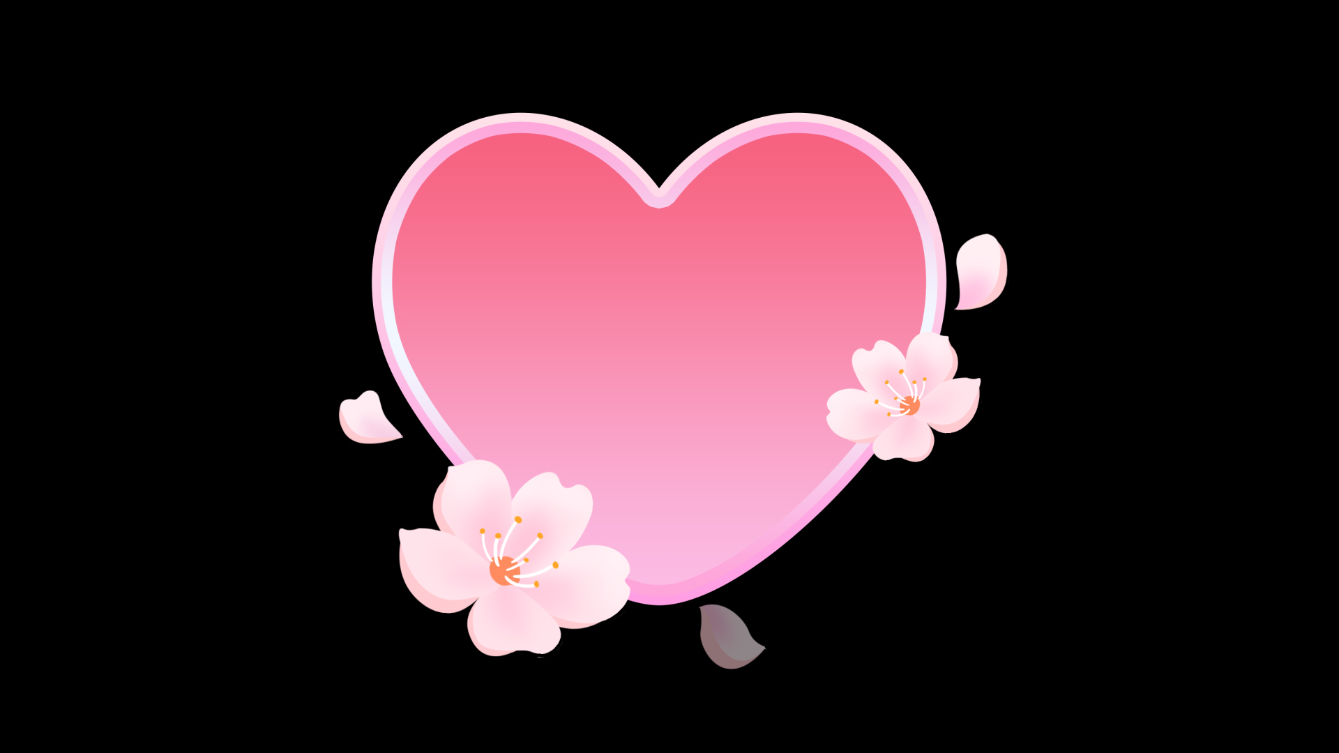 七夕情人节浪漫樱花花瓣爱心边框视频的预览图