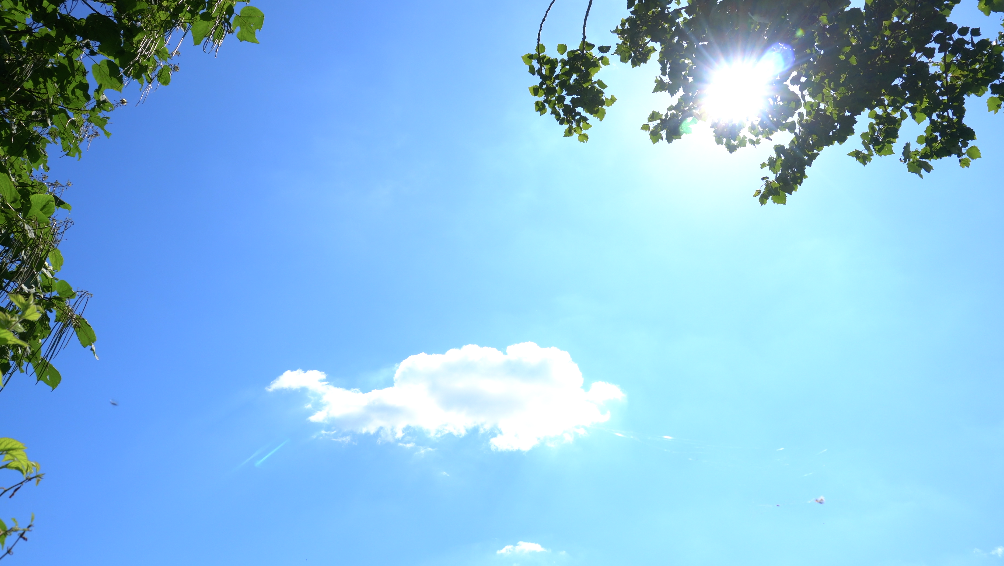 4K夏天唯美阳光穿过树叶云朵意境空镜头视频的预览图