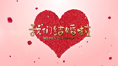 粉色花瓣汇聚婚礼七夕情人节片头片尾视频的预览图