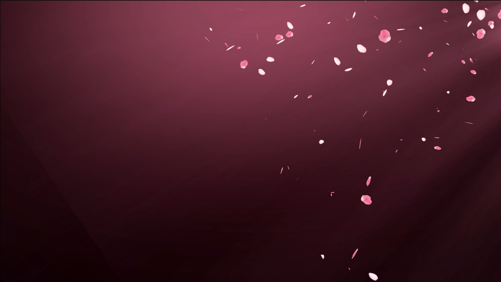 七夕情人节花瓣飘落粒子花瓣动态背景视频的预览图