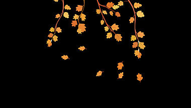 手绘植物秋天落叶漂浮枫叶视频的预览图