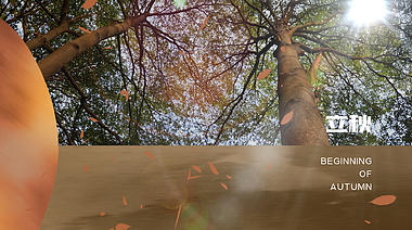 原创立秋树棕色渐变海报片头视频ae模版视频的预览图