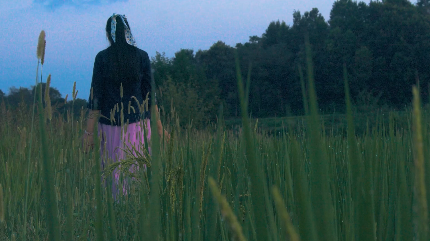4K美女清晨走在稻田里唯美背影意境视频的预览图