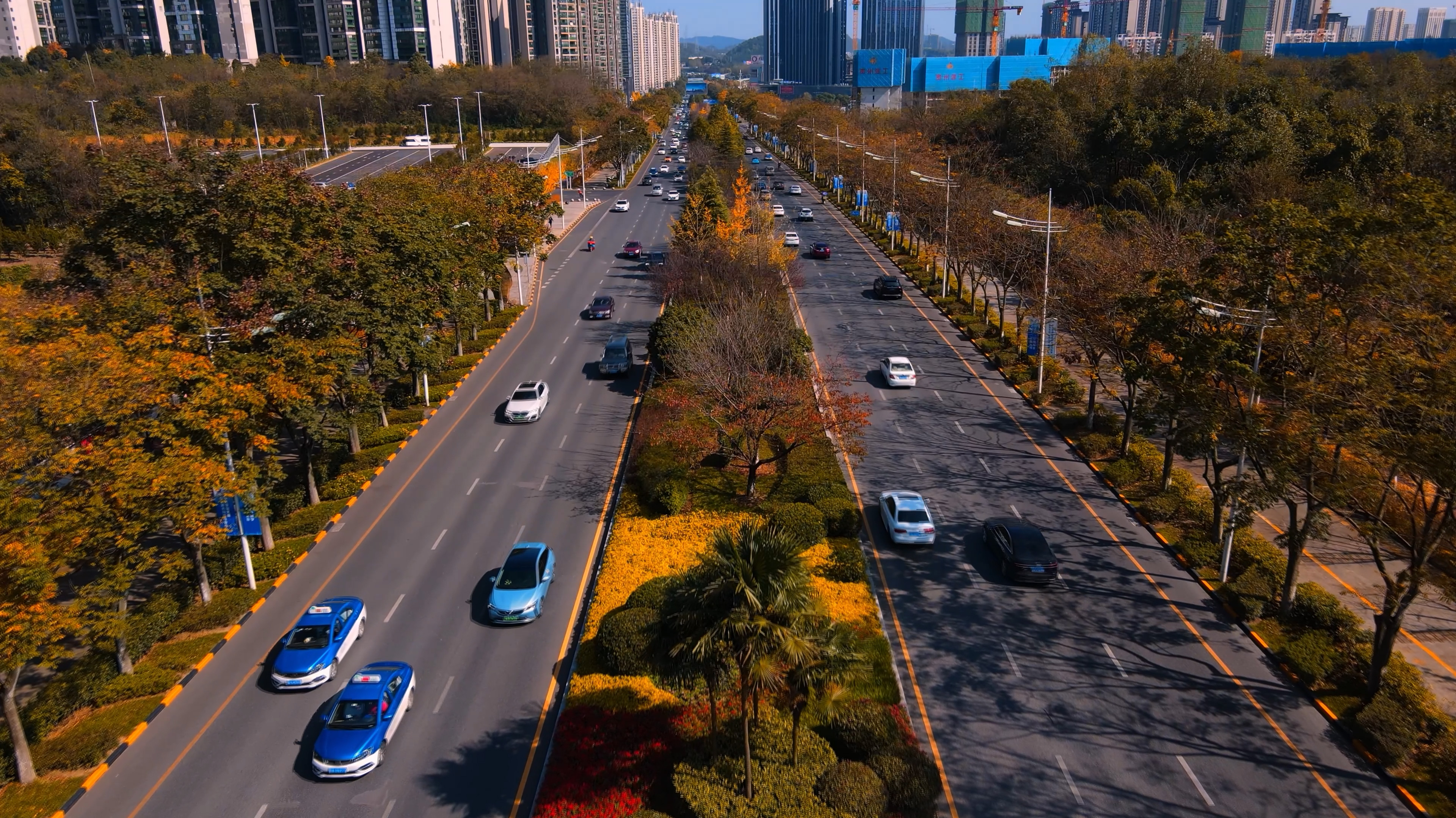 4K航拍城市道路两侧金黄树林树叶实拍视频的预览图
