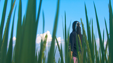 4K实拍美女走在稻田里唯美夏日意境视频的预览图
