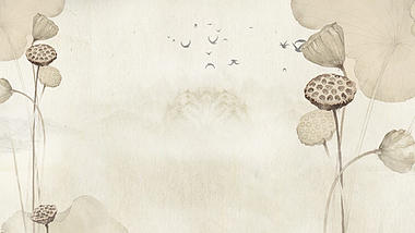 原创古典复古中国风工笔画荷塘山水视频背景视频的预览图