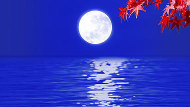 中秋节明月升起红叶映衬动态视频背景视频的预览图