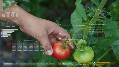 科技智慧农业ae模板展示视频的预览图