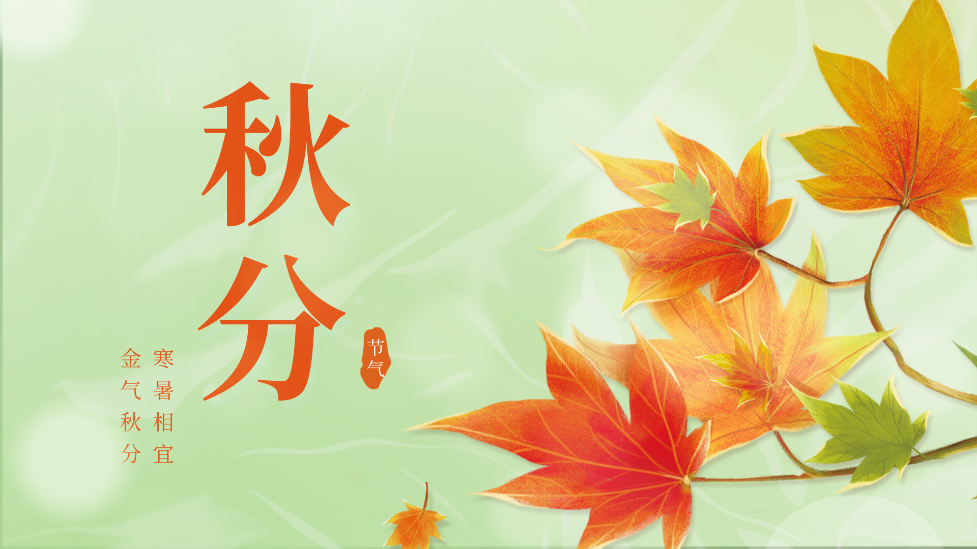 原创秋季秋分节气枫叶枝浅色简约视频片头视频的预览图