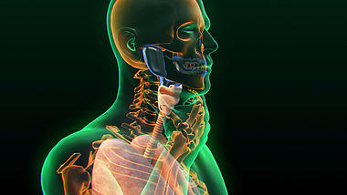 人体医疗医学元素视频素材AE模板视频的预览图