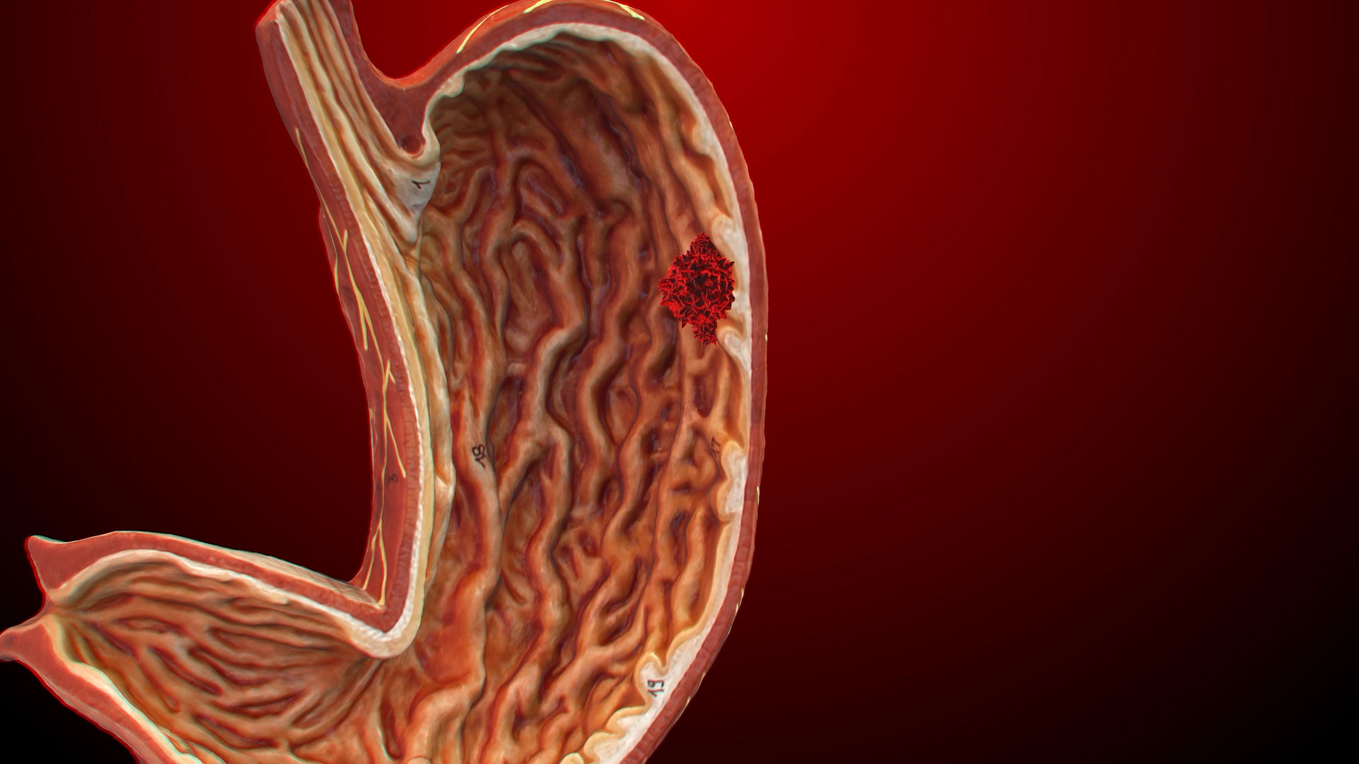 肠胃医疗人体元素视频素材视频的预览图