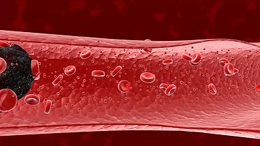 血管3D医学流动视频素材模板视频的预览图