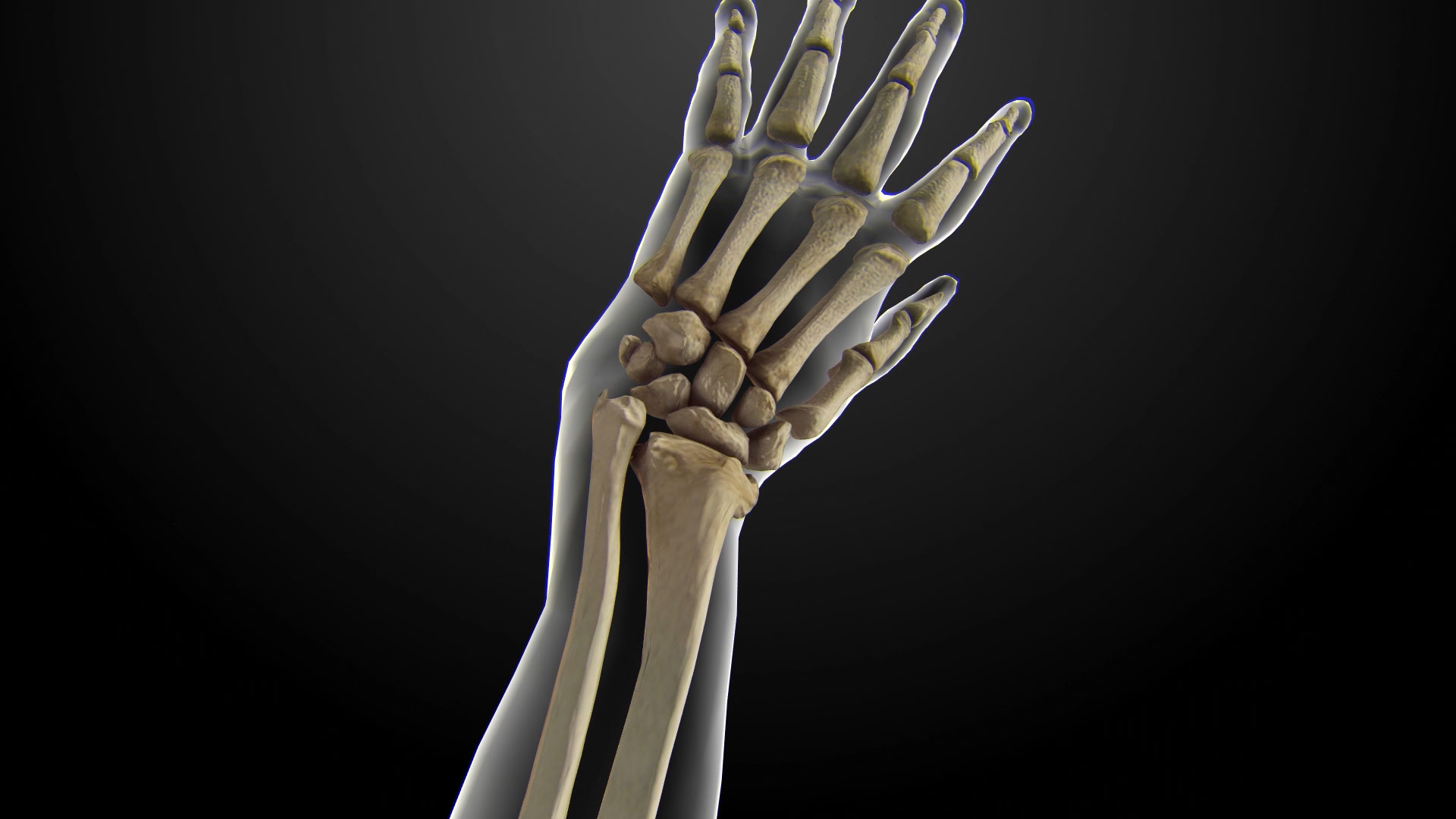 手骨医疗化学人体素材AE模板视频的预览图