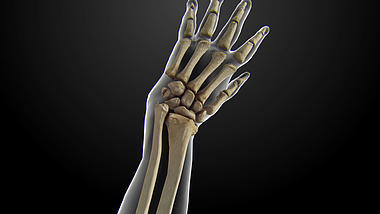 手骨医疗化学人体素材AE模板视频的预览图