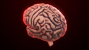 大脑人体医疗视频素材AE模板视频的预览图