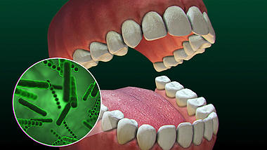 牙齿3D视频医疗素材视频视频的预览图