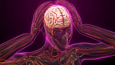 人体人体医疗视频素材AE模板视频的预览图