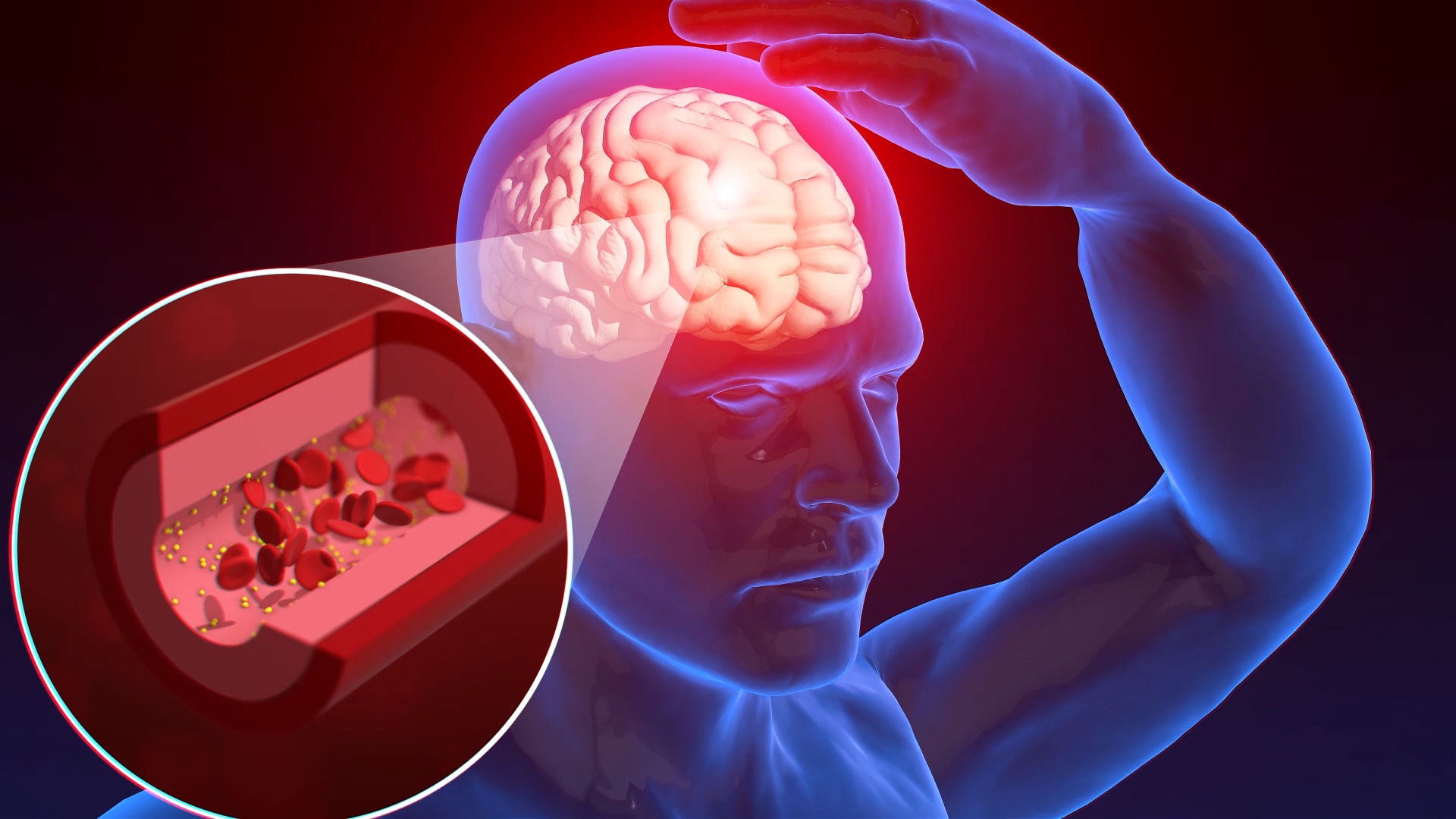 大脑3D医疗视频素材模板视频的预览图