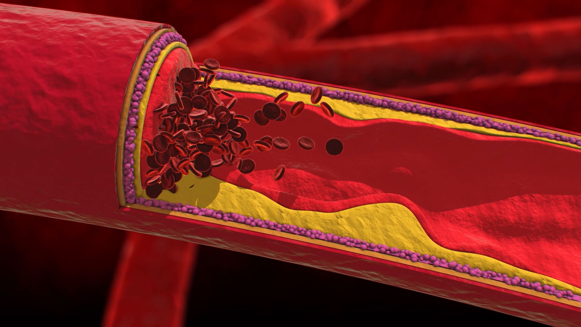 血管流动血小板3D视频素材视频的预览图