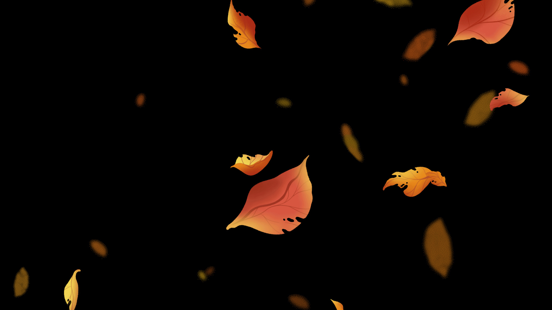 秋天风吹落叶飘卡通黄色视频的预览图