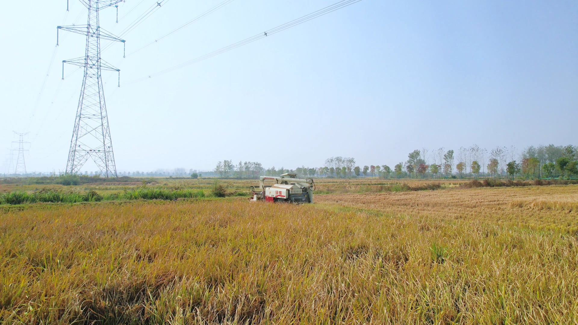 4K航拍丰收季秋收机械收割水稻稻谷视频的预览图