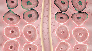 脂肪细胞3D医疗背景视频素材视频的预览图