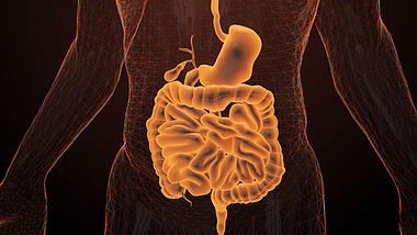 肠胃科技人体元素背景视频素材视频的预览图