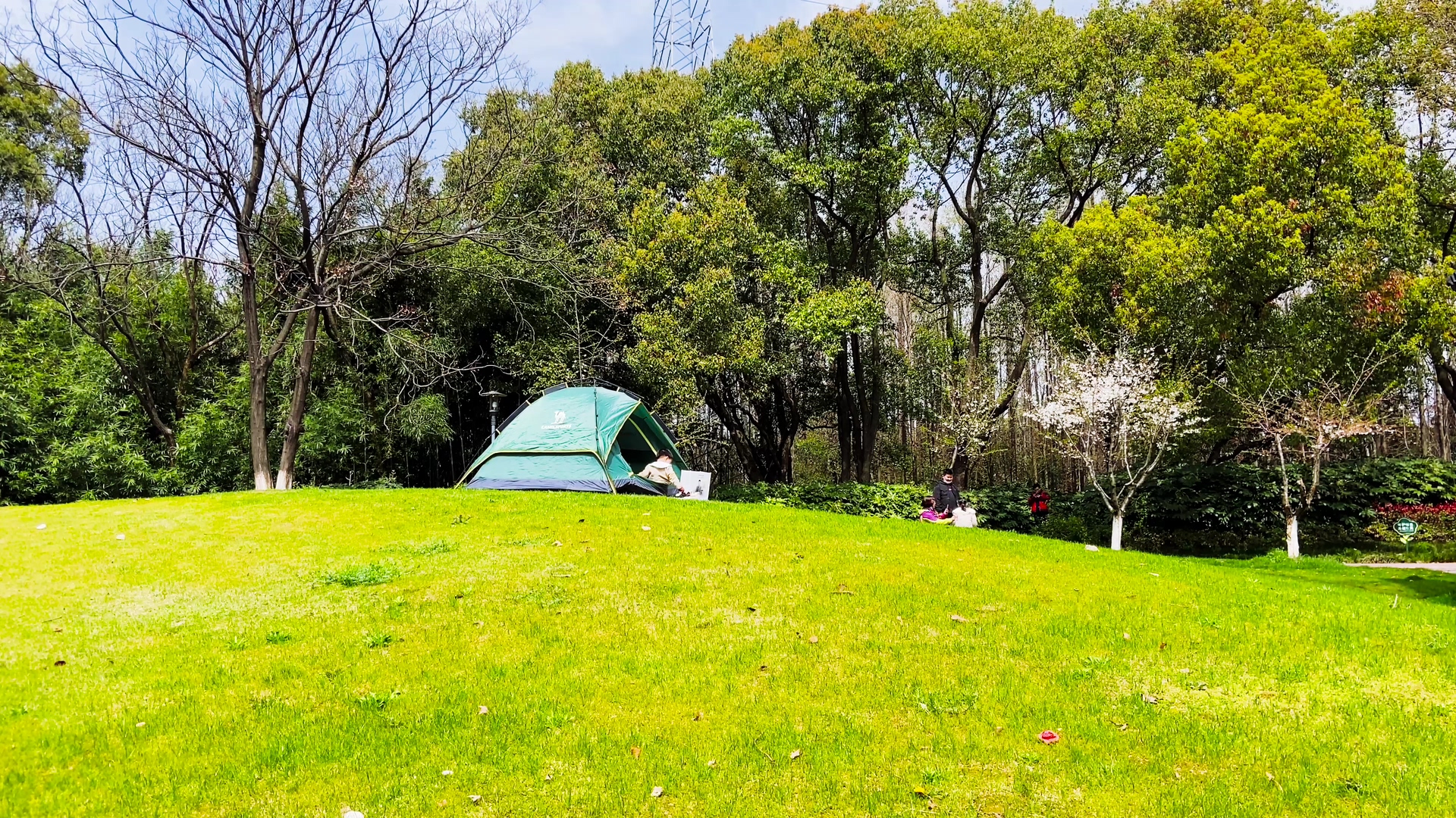 4K实拍一家人秋游草坪帐篷休闲周末视频的预览图